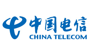 中國電信集團青海分公司樞紐樓門禁維保項目